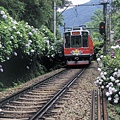 箱根-登山鐵道1.jpg