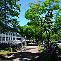 北海道大學