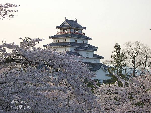 福島_鶴ヶ城 櫻花百選