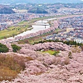 宮城_船岡城址公園