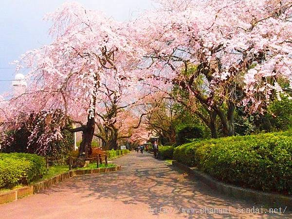 仙台_榴岡公園.jpg 仙台_榴岡公園.jpg