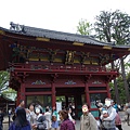 根津神社杜鵑花祭