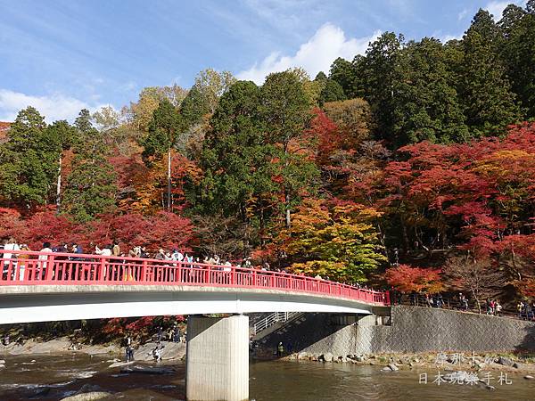 愛知 香嵐溪 四季櫻 祖父江 紅葉櫻花銀杏 中部北陸賞楓8日行程 摩那卡的日本玩樂手札 痞客邦