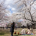 小諸懷古園