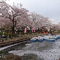 高田城公園