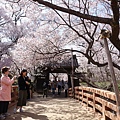 高遠城址公園_問屋門