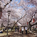 高遠城址公園