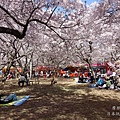 高遠城址公園