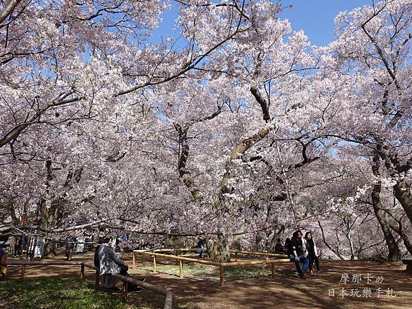 高遠城址公園