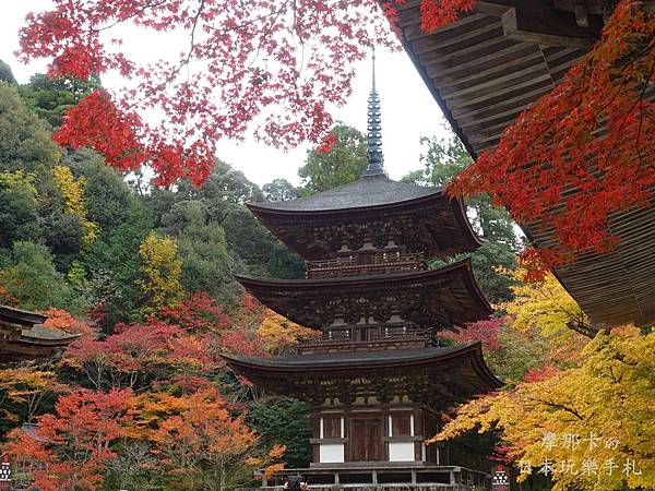 西明寺_三重塔