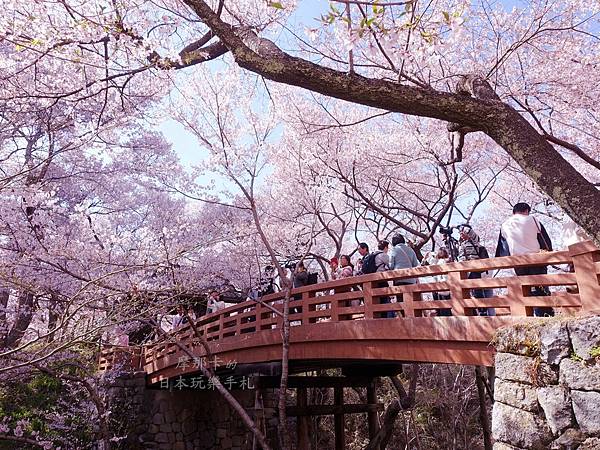 [遊記] 長野賞櫻溫泉美食9日行程(4櫻花百選名所)