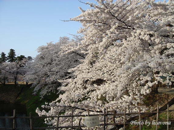 鶴ヶ城