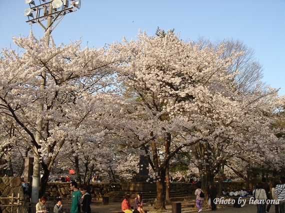 鶴ヶ城