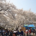 天童舞鶴山公園