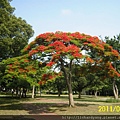 20110610_nctu_a.JPG