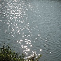 20110917_nthu_lake_b.JPG