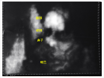 老頭北鼻