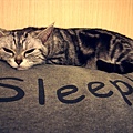 sleep!