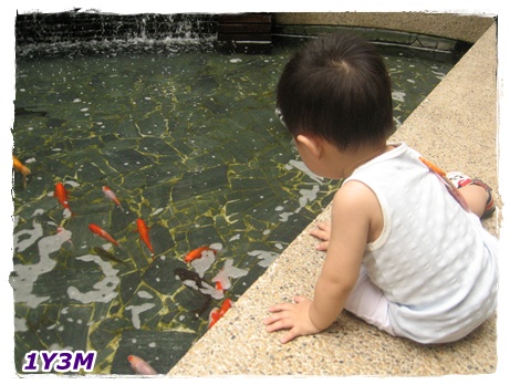 看魚2.jpg 看魚2.jpg