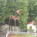 184.飯店旁的一間小神社.JPG