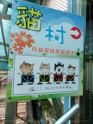 29.jpg 29.jpg