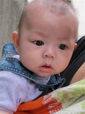 817-5.JPG 817-5.JPG