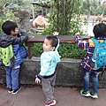 19.JPG 19.JPG