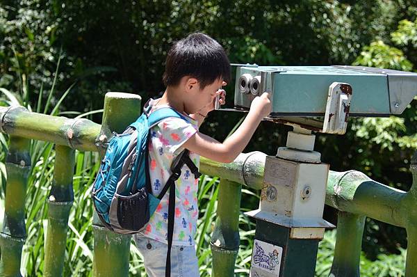 明池山莊2014.7.21 034_調整大小-20140723-192700.jpg 明池山莊2014.7.21 034_調整大小-20140723-192700.jpg