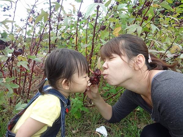 DSC01070 (640x480).jpg DSC01070 (640x480).jpg