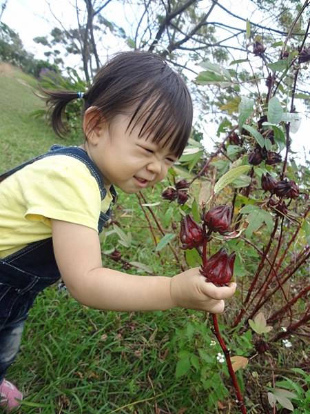 DSC01072 (480x640).jpg DSC01072 (480x640).jpg