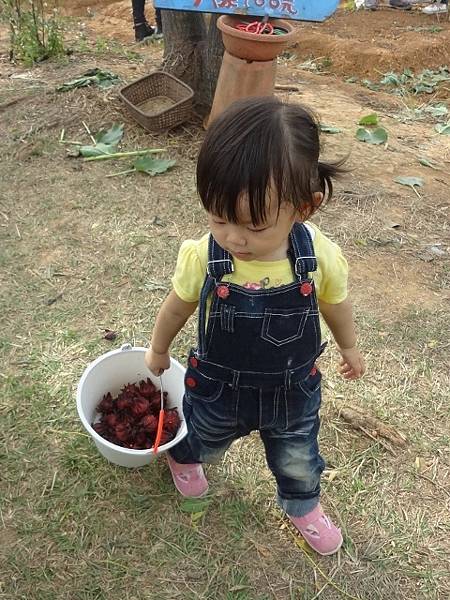 DSC01147 (480x640).jpg DSC01147 (480x640).jpg
