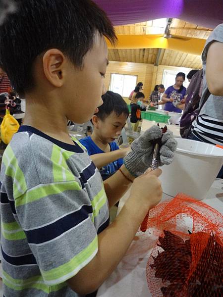 DSC01165 (480x640).jpg DSC01165 (480x640).jpg