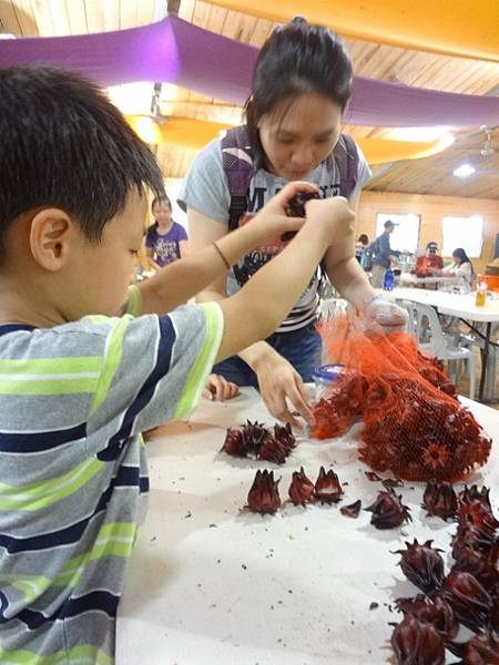 DSC01168 (480x640).jpg DSC01168 (480x640).jpg