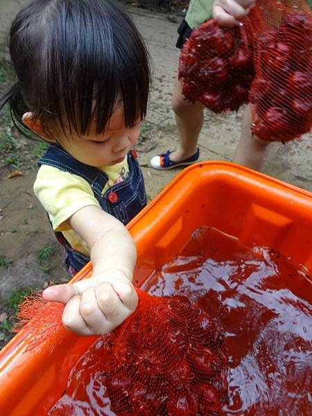 DSC01175 (480x640).jpg DSC01175 (480x640).jpg