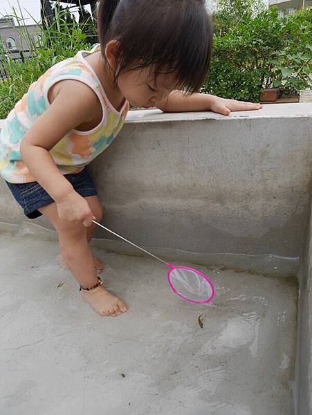 P1020144.JPG P1020144.JPG