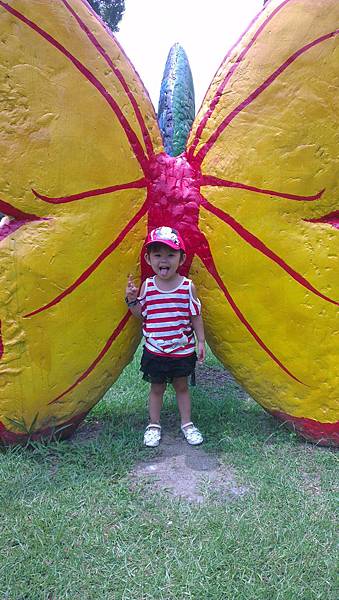 IMAG2247.jpg IMAG2247.jpg