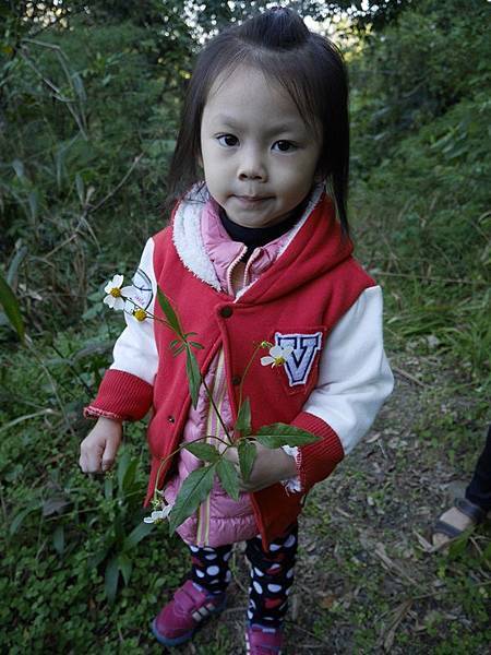1120179.jpg 1120179.jpg