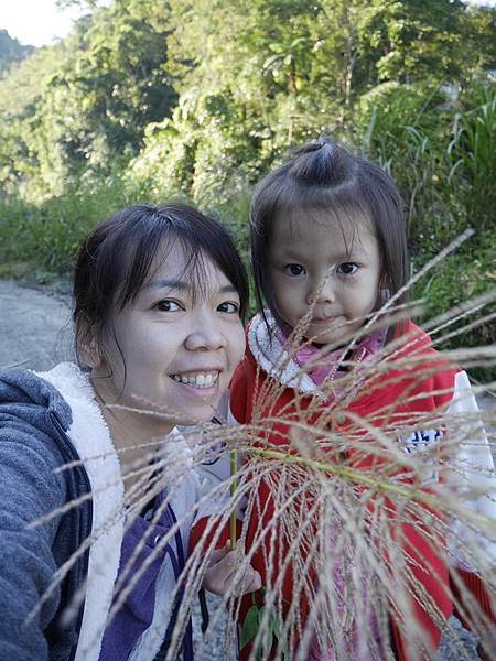 1120187.jpg 1120187.jpg