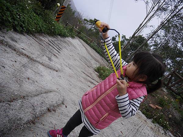 _1120875.JPG _1120875.JPG