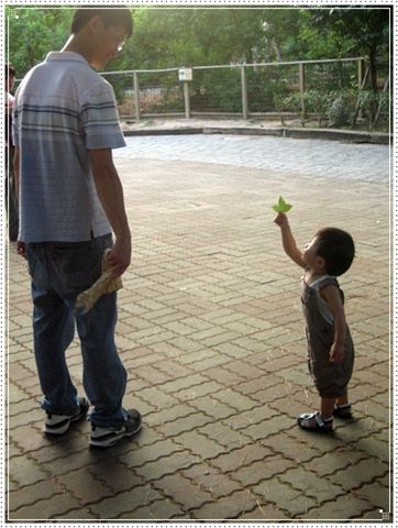 綠父子.JPG 綠父子.JPG