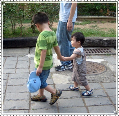 綠其.JPG 綠其.JPG