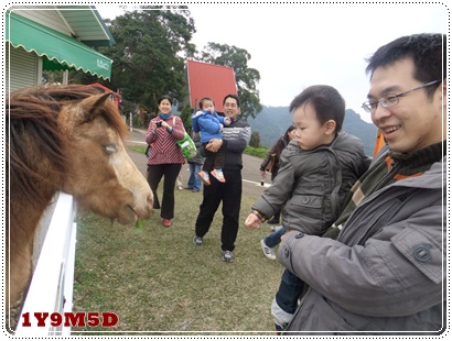 喂馬.JPG 喂馬.JPG