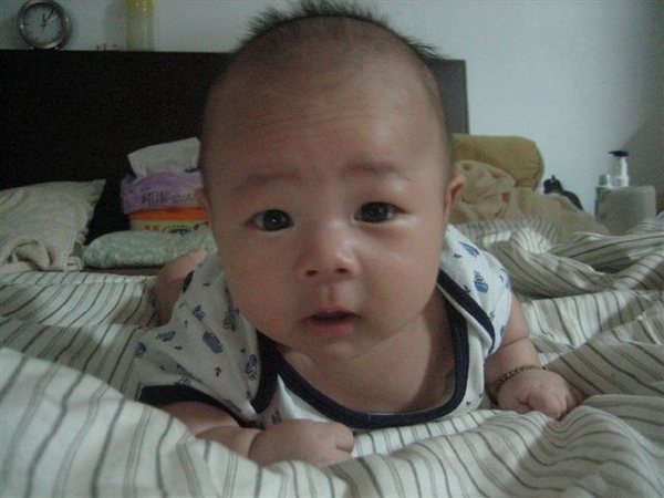 硬頸~9W-1.jpg 硬頸~9W-1.jpg