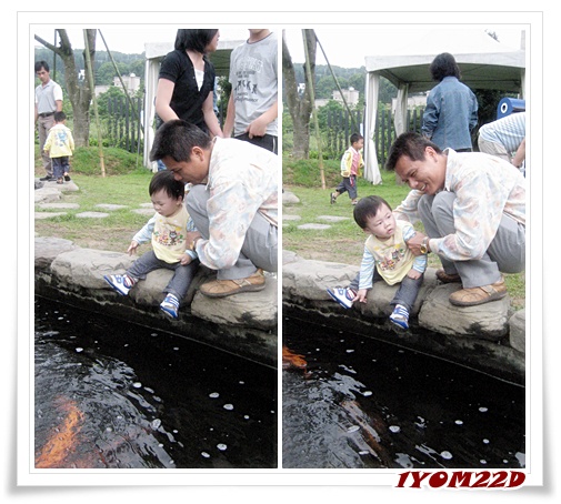 看魚.jpg 看魚.jpg