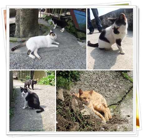 風03.jpg 風03.jpg