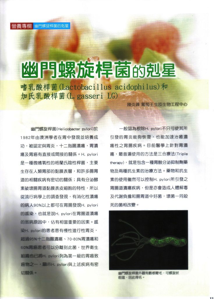 葡眾營養專欄-幽門螺旋桿菌-P1.jpg