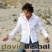 David Bisbal3