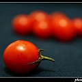 小番茄03.jpg