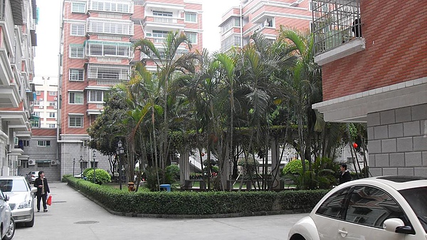 SDC12412.JPG