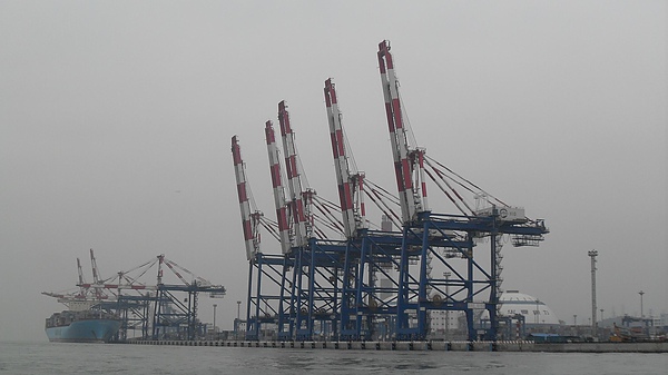 SDC12425.JPG
